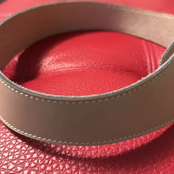 Vintage Anna Klein beige tan leather wide belt with goldtone lion head Sz M - Picture 5 of 9